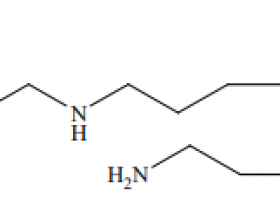 Biotium热销产品精胺NONOate(BTM-00224)解决方案