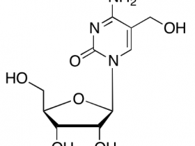 TRC热销产品5-羟甲基胞嘧啶核苷H947090解决方案