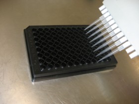 Cell Biolabs 脂质定量试剂盒（荧光法）现货热销中