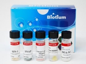 Biotium热销产品一氧化氮生成试剂盒BTM-00239说明书