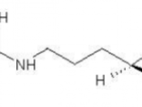 Biotium热销产品L-NIO，5 mg（BTM-00243）解决方案