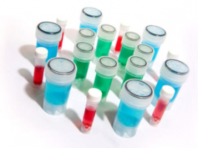 Precellys®研磨Kit、研磨管、研磨珠选择指南