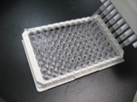 Cell Biolabs热销产品羟脯氨酸检测试剂盒说明书