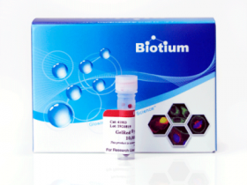 GelRed&GelGreen核酸染料安全无毒,EB的绝佳替代者