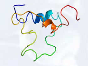 ISO认证的细胞培养级的IGF和IGF结合蛋白(IGFBPs)