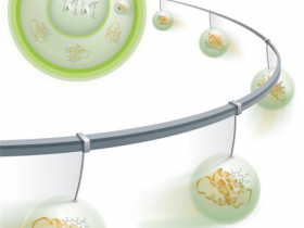 蛋白转染试剂:Pro-DeliverIN