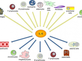 高纯度,高活性GMP级重组人白介素IL-6(Interleukin-6)