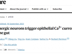 Nature：胆碱能神经元触发上皮细胞Ca2+电流来促进肠道愈合
