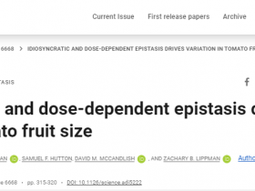 Science 对番茄果实大小具有影响的上位性相互作用