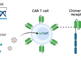 BPS Bioscience慢病毒研究：CAR-T细胞治疗来助力