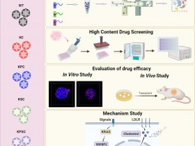 Cell Stem Cell：鉴定SREBP2是胰腺癌治疗的潜在靶点