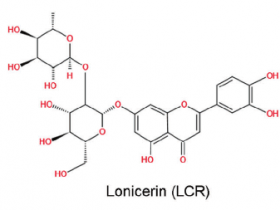 《中国药理学报》忍冬苷通过Sirt1介导的自噬作用促进血管再生