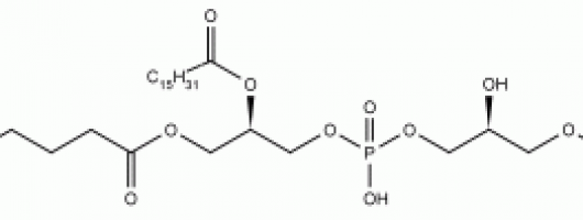 自身免疫研究热点：氨基心磷脂，Aminocardiolipin (Amino-CL)
