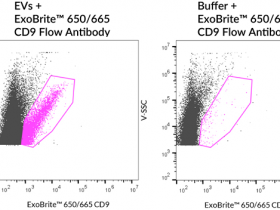 Biotium细胞外囊泡(EV)染色第三弹——EXOBRITE™ 相关抗体&磁珠