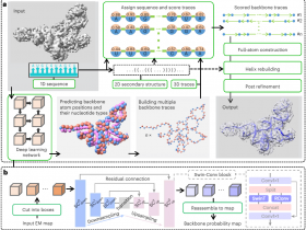 Nature Biotechnology:华中科技大学实现根据冷冻电镜图谱确定全原子RNA结构