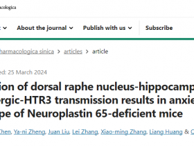 《中国药理学报》中缝背核-海马血清素能-HTR3传导功能失调导致neuroplastin 65缺失小鼠的焦虑表型。