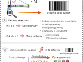 Nature Immunology:预测可提高免疫检查点阻断疗法疗效药物的方法