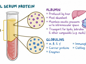 ICL(ICL Lab)白蛋白,α-1-抗胰蛋白酶,血红蛋白,助力血清蛋白的ELISA检测