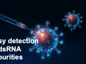IVT反应副产物-dsRNA检测方案