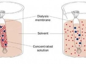 实验技巧分享-人血浆IgG分离、纯化实验