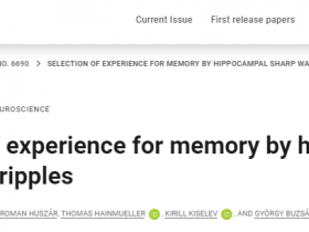 《科学》海马尖波涟漪对记忆经验的选择机理。