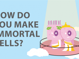 Z大永生化细胞库,就在ABM&艾美捷--细胞永生化基础指南(Immortalized Cells) 500+