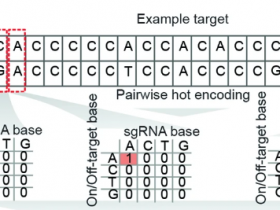 Nature Biotechnology:揭示CRISPR-Cas9介导双链断裂的机制