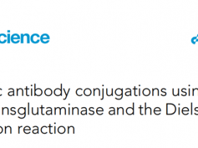 ADC位点特异性、高效稳定偶联,细菌转谷氨酰胺酶 (mTG)