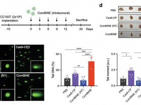 水凝胶基质:预防乳腺癌的一二三拳