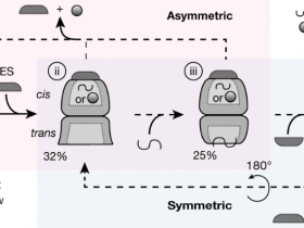 Nature:通过低温电子断层扫描揭示了伴侣蛋白的原位功能