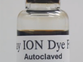 BioPAL 标记细胞的简单方法:Molday ION Rhodamine B(MIRB)