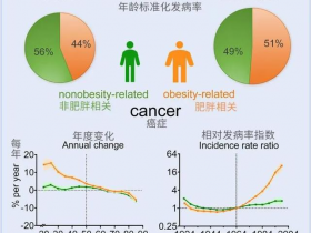 年轻人肥胖相关癌症发病率上升,00后癌症发病率是父辈们的25倍