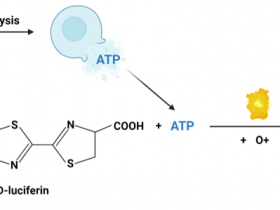 细胞活力检测试剂盒:高通量、均一、灵敏的发光定量