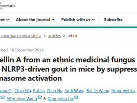 《中国药理学报》来自民族药用真菌的Hypocrellin A通过抑制炎症小体激活保护小鼠免受NLRP3驱动的痛风