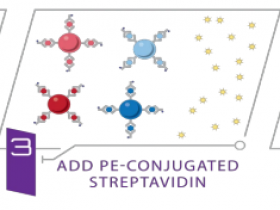 Raybiotech RayPlex™ 流式多因子,可靠检测之选