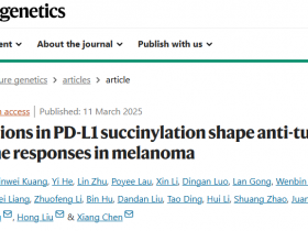 Nature Genetics:PD-L1琥珀酰化改变影响黑色素瘤的抗肿瘤免疫反应