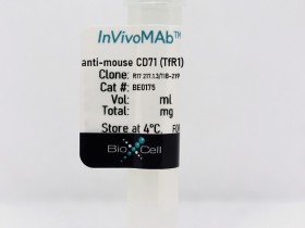 体内MAb抗小鼠CD71（TfR1）BioXCell热销