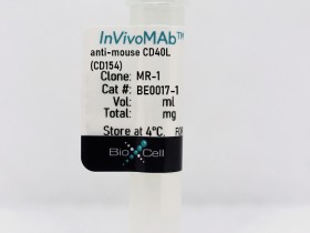 体内 MAb抗小鼠CD40L（CD154）BioXCell热销