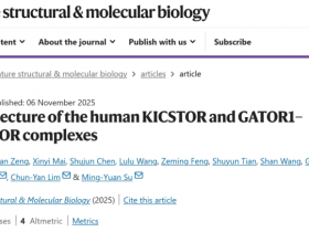 人类 KICSTOR 复合体研究