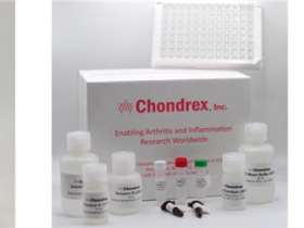 Chondrex 免疫接种级别 II, IX 和 XI 型胶原蛋白