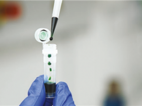 Jena Bioscience核苷酸原料:用于RNA标记的生物素化核苷酸和地高辛(Digoxin)