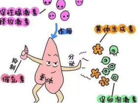 精准检测,洞察健康—促黄体激素检测试剂盒