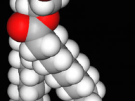 Echelon磷脂-磷脂酰肌醇(PI)及其他磷脂研究工具