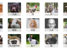 MyBioSource总代理| MyBioSource授权代理商|MyBioSource ELISA试剂盒