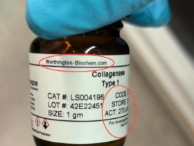 你购买的Worthington胶原酶是否为正品?