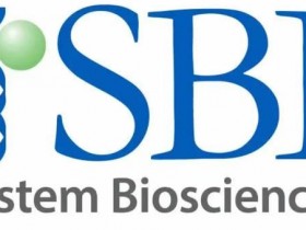 System Biosciences(SBI)艾美捷代理-外泌体分离、纯化、检测和标记全套整合方案
