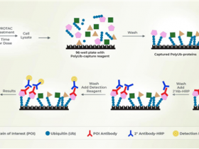 Lifesensors:PROTAC Assay Plate