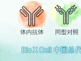 BioXCell 2024年度热销产品列表