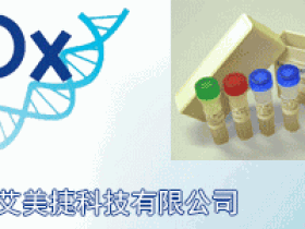 EpigenDx DNA甲基化专家