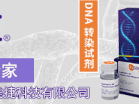 FuGENE 更温和、可靠、高效和全面的DNA转染试剂